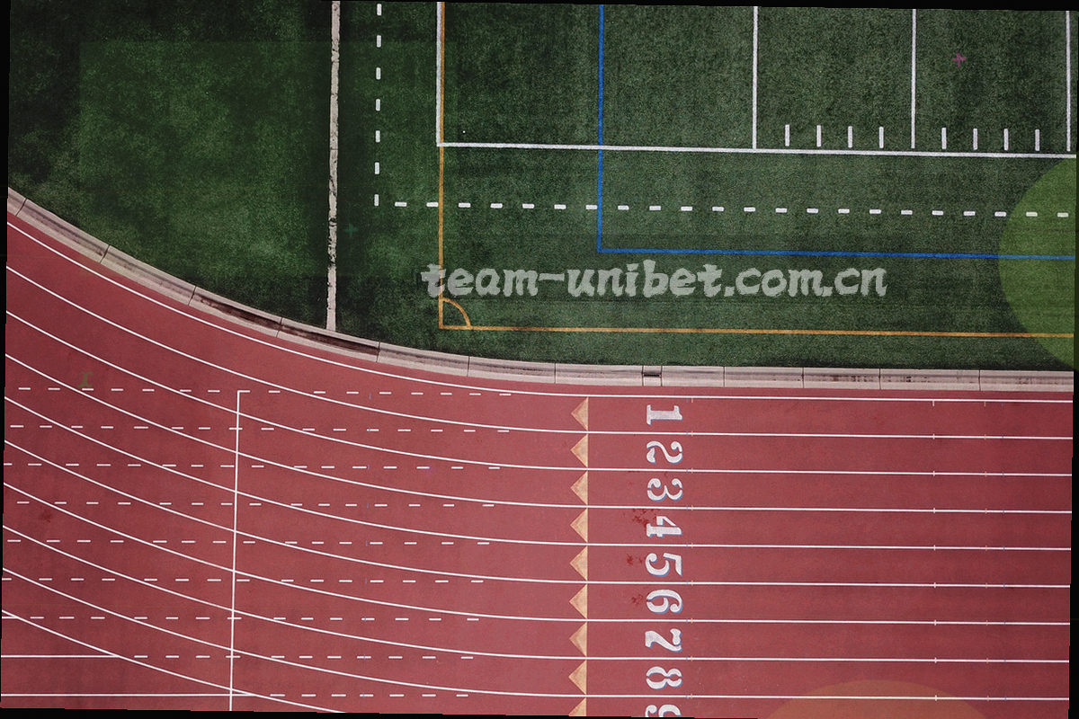 设备、网络、时间与截图四类反馈信息的抽象图标组合